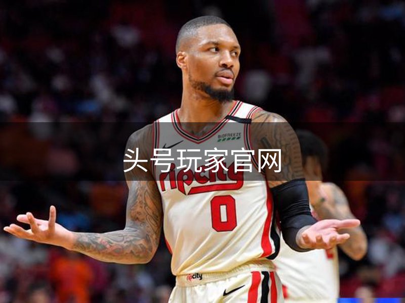 网站概况
